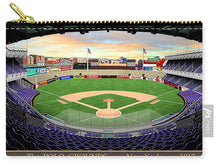 Load image into Gallery viewer, The Polo Grounds 1917 - Carry-All Pouch
