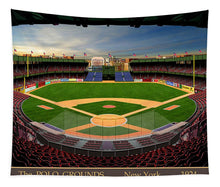 Load image into Gallery viewer, The Polo Grounds 1924 - Tapestry
