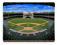 Load image into Gallery viewer, The Polo Grounds 1954 - Blanket
