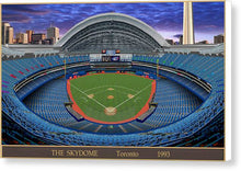 Load image into Gallery viewer, The Skydome 1993 - Canvas Print
