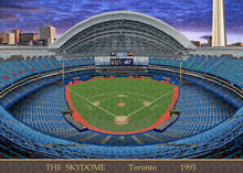 Load image into Gallery viewer, The Skydome 1993 - Puzzle
