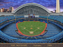 Load image into Gallery viewer, The Skydome 1993 - Puzzle

