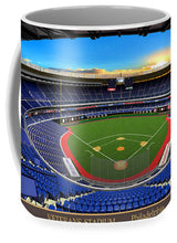 Load image into Gallery viewer, Veterans Stadium 1993 - Mug
