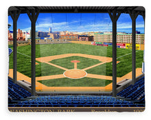 Load image into Gallery viewer, Washington Park 1913 - Blanket
